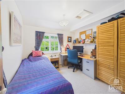 Picture 20